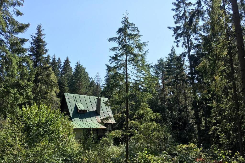 Enchanted Forest Chalet Tátracsorba Kültér fotó