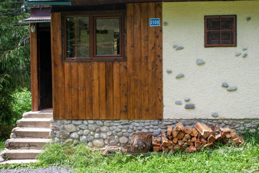 Enchanted Forest Chalet Tátracsorba Kültér fotó
