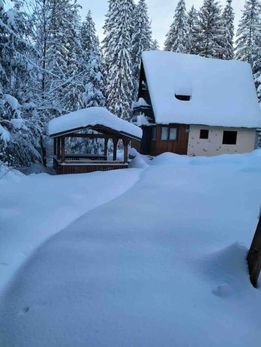 Enchanted Forest Chalet Tátracsorba Kültér fotó